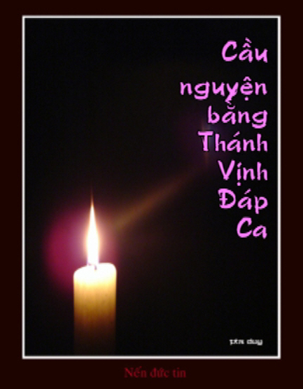 ThanhVinhDapCa icon